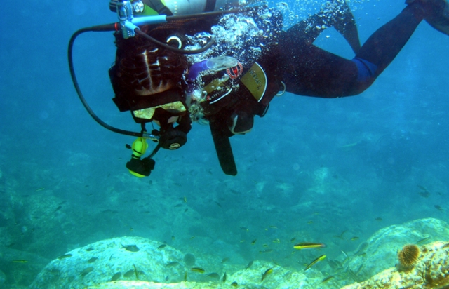 Visita guiada de buceo